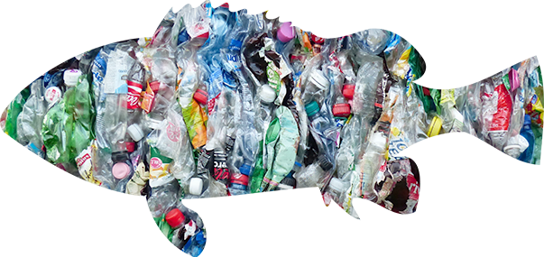 plastic,fish